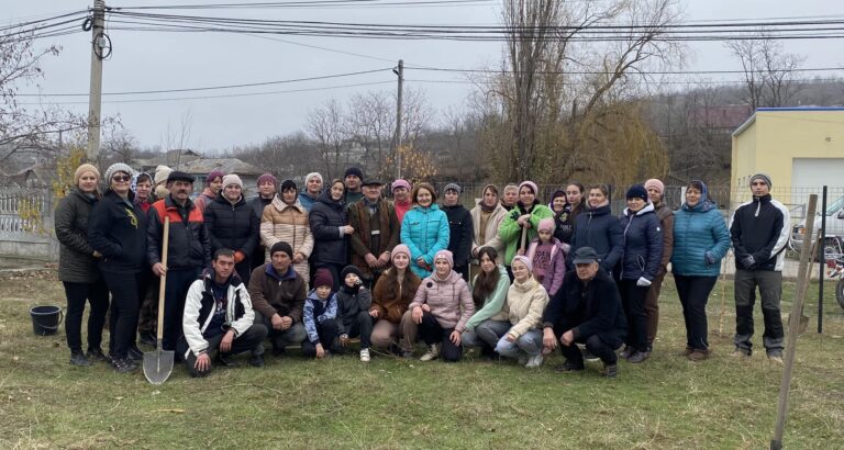 Read more about the article Amenajarea Noului Parc !