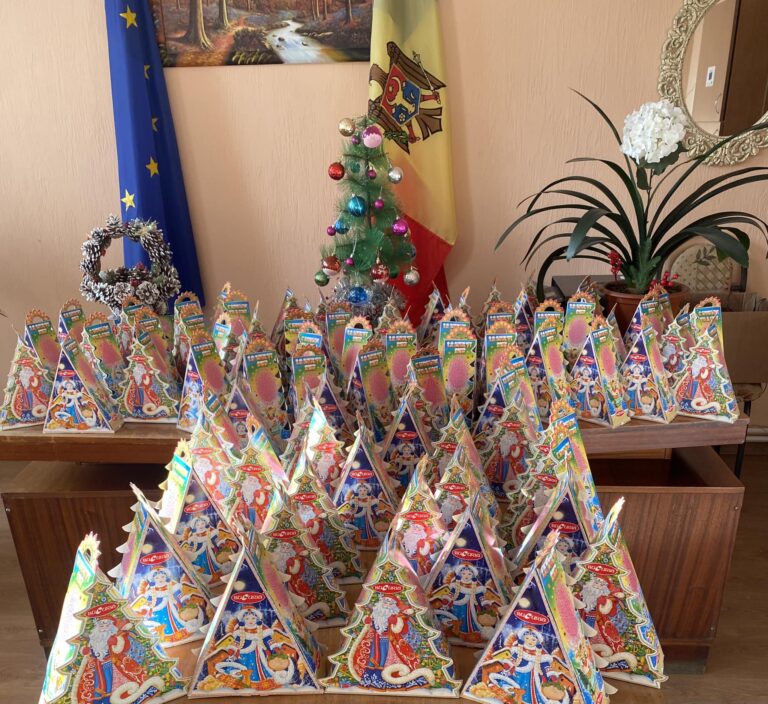 Read more about the article Sărbătorile de iarnă !