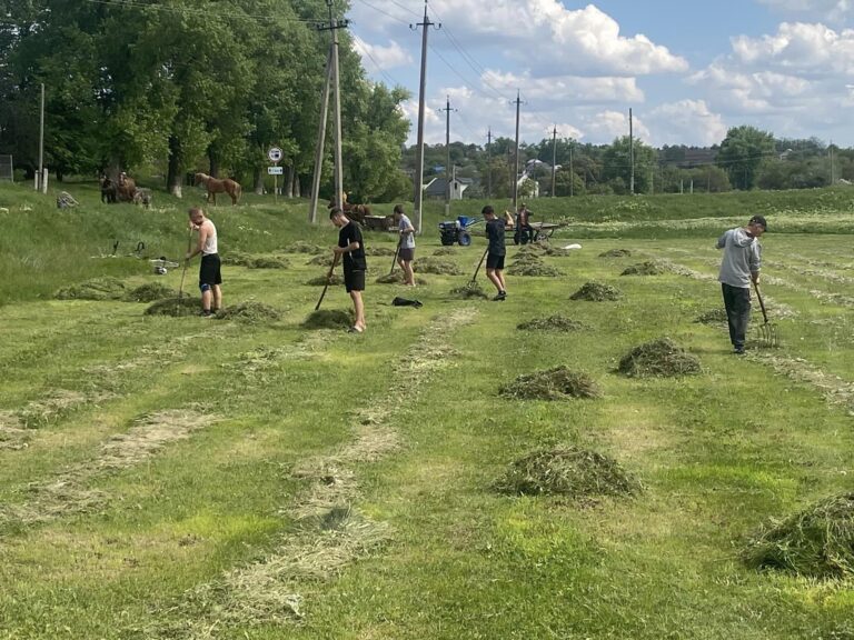 Read more about the article Tinerii activi la salubrizarea terenului sportiv!