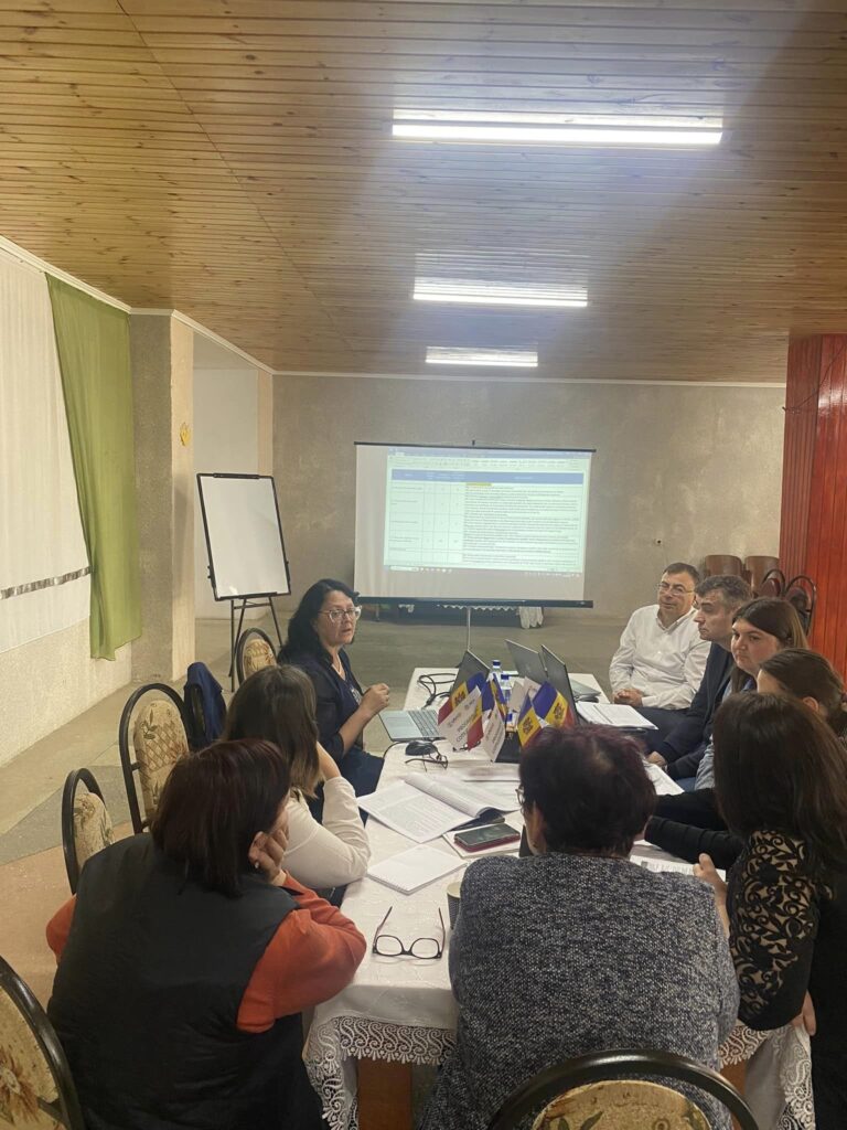 Read more about the article Instrumentul de analiză a capacității organizaționale și funcționale (FOCAS)